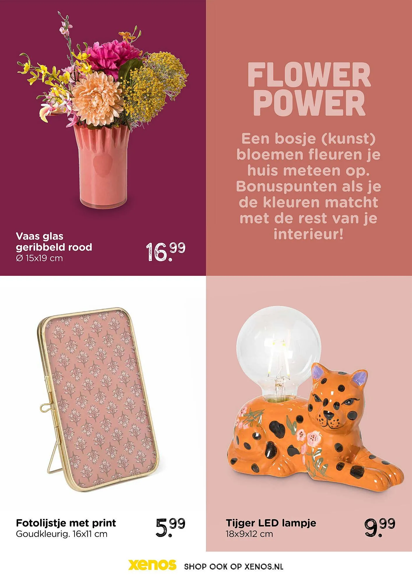 Xenos folder van 17 augustus tot 11 oktober 2025 - Folder pagina 12