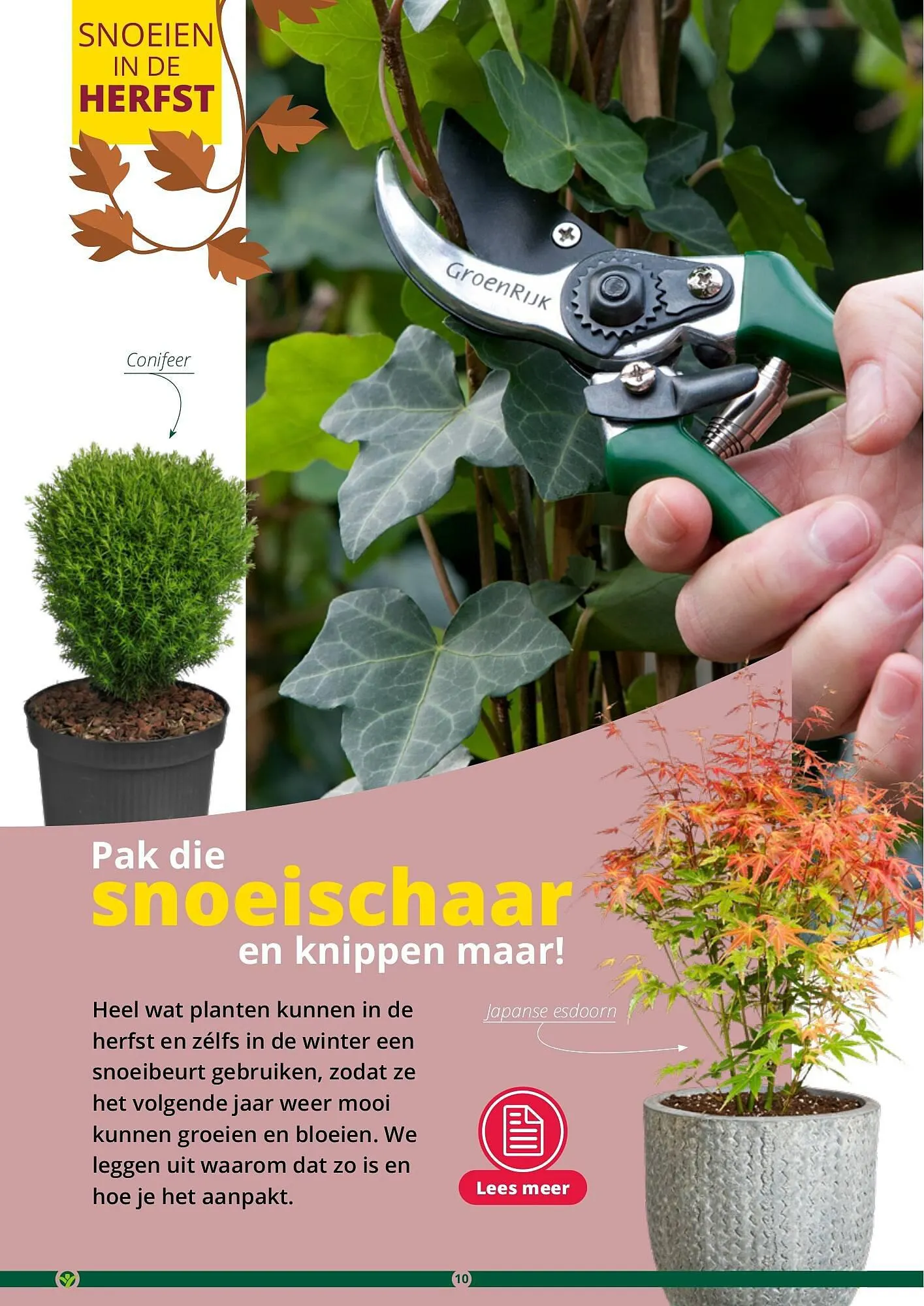 GroenRijk folder van 17 september tot 31 december 2023 - Folder pagina 10