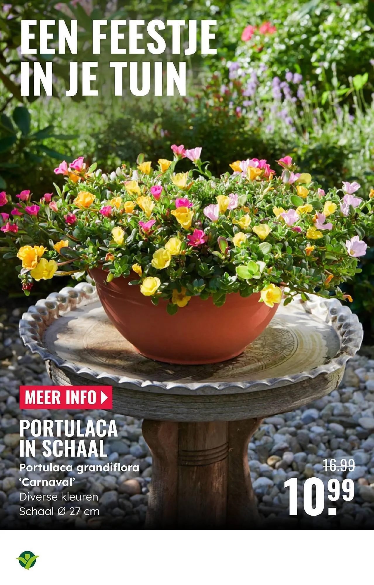 GroenRijk folder van 28 mei tot 3 juni 2025 - Folder pagina 3