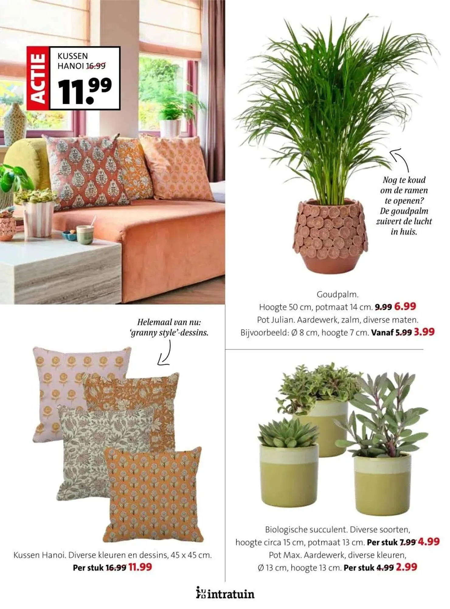 Intratuin folder van 17 februari tot 23 februari 2025 - Folder pagina 9