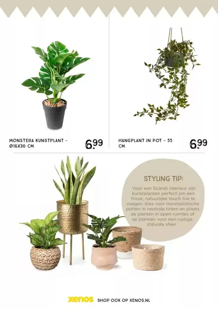 Speciale aanbiedingen voor u van 29 september tot 13 oktober 2024 - Folder pagina 99