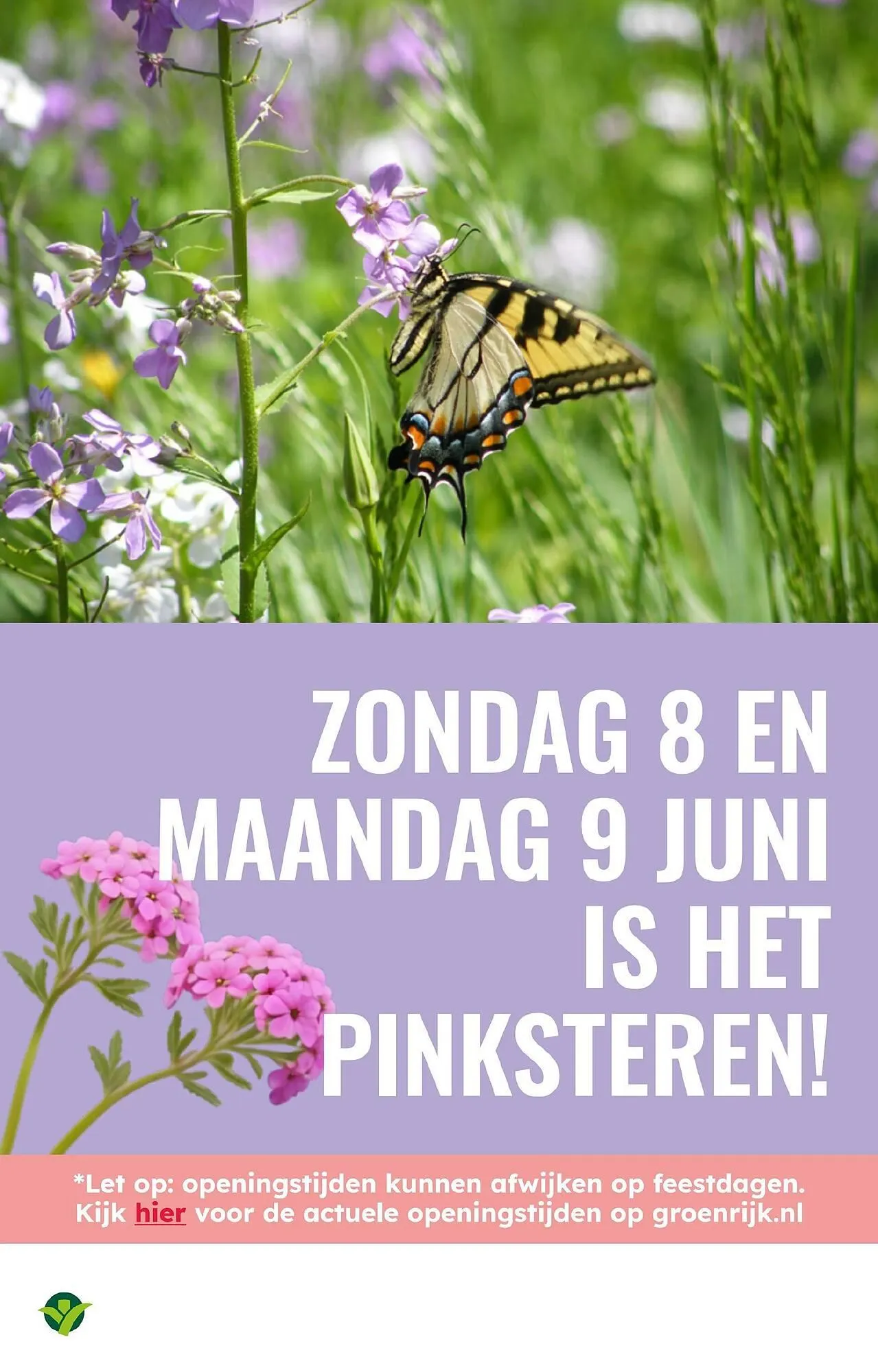 GroenRijk folder van 4 juni tot 17 juni 2025 - Folder pagina 11