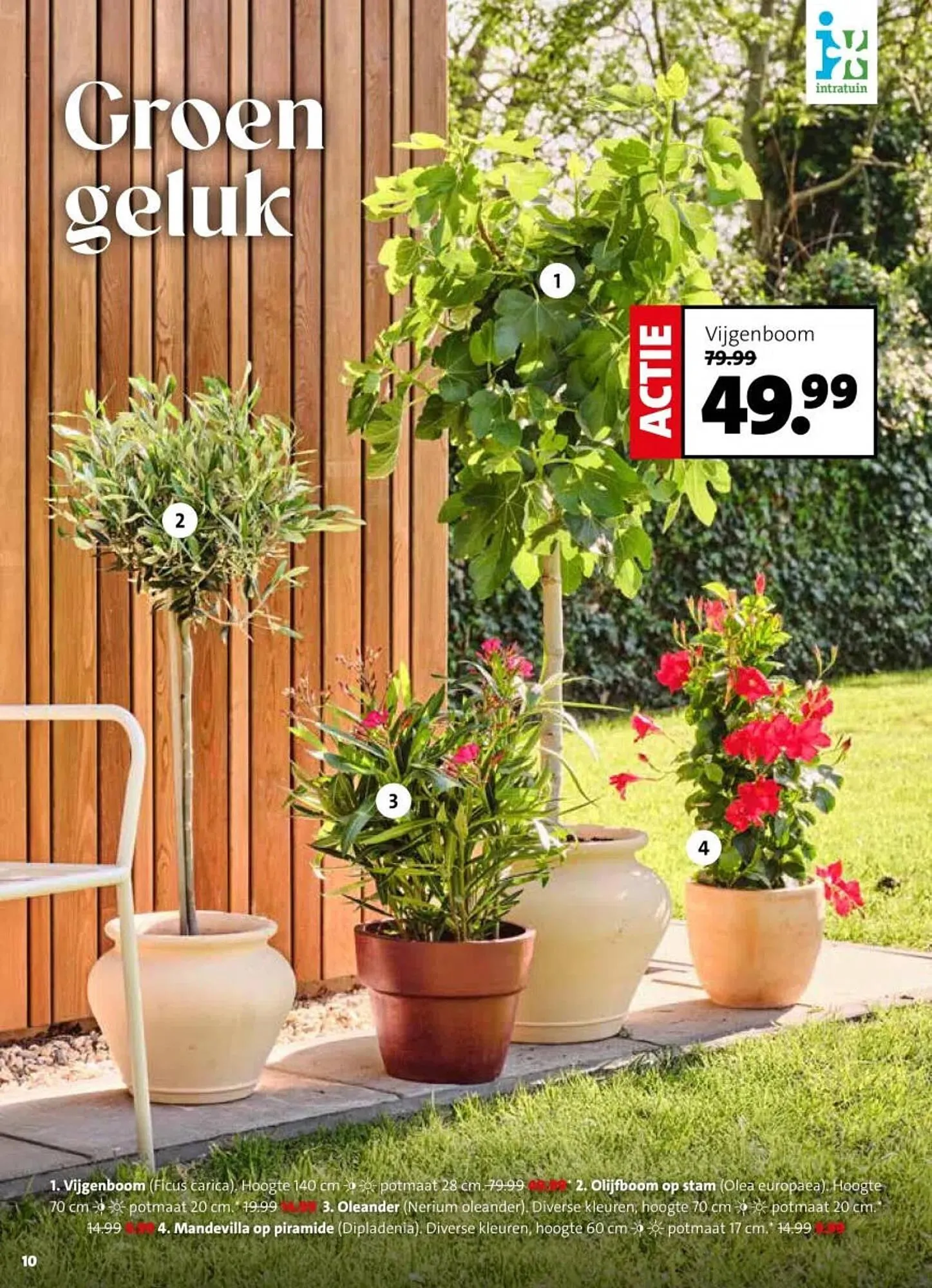 Intratuin folder van 13 april tot 19 april 2026 - Folder pagina 10