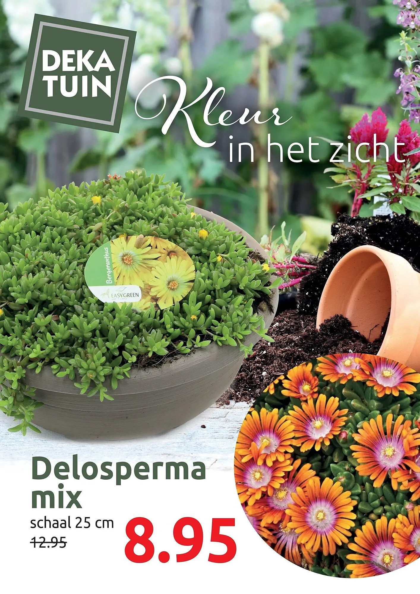 Deka Tuin folder - 1