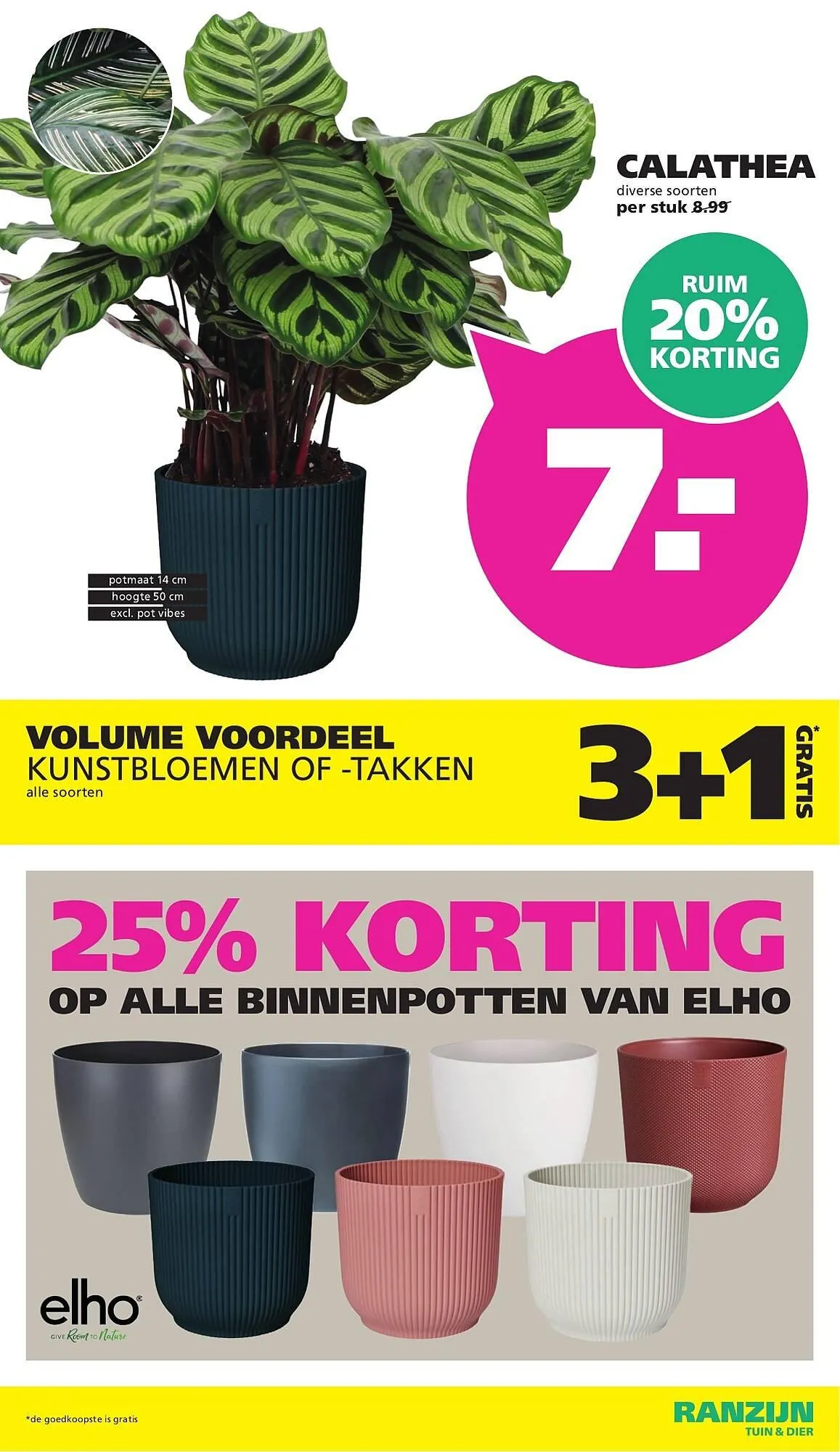 Ranzijn folder van 25 januari tot 7 februari 2026 - Folder pagina 11