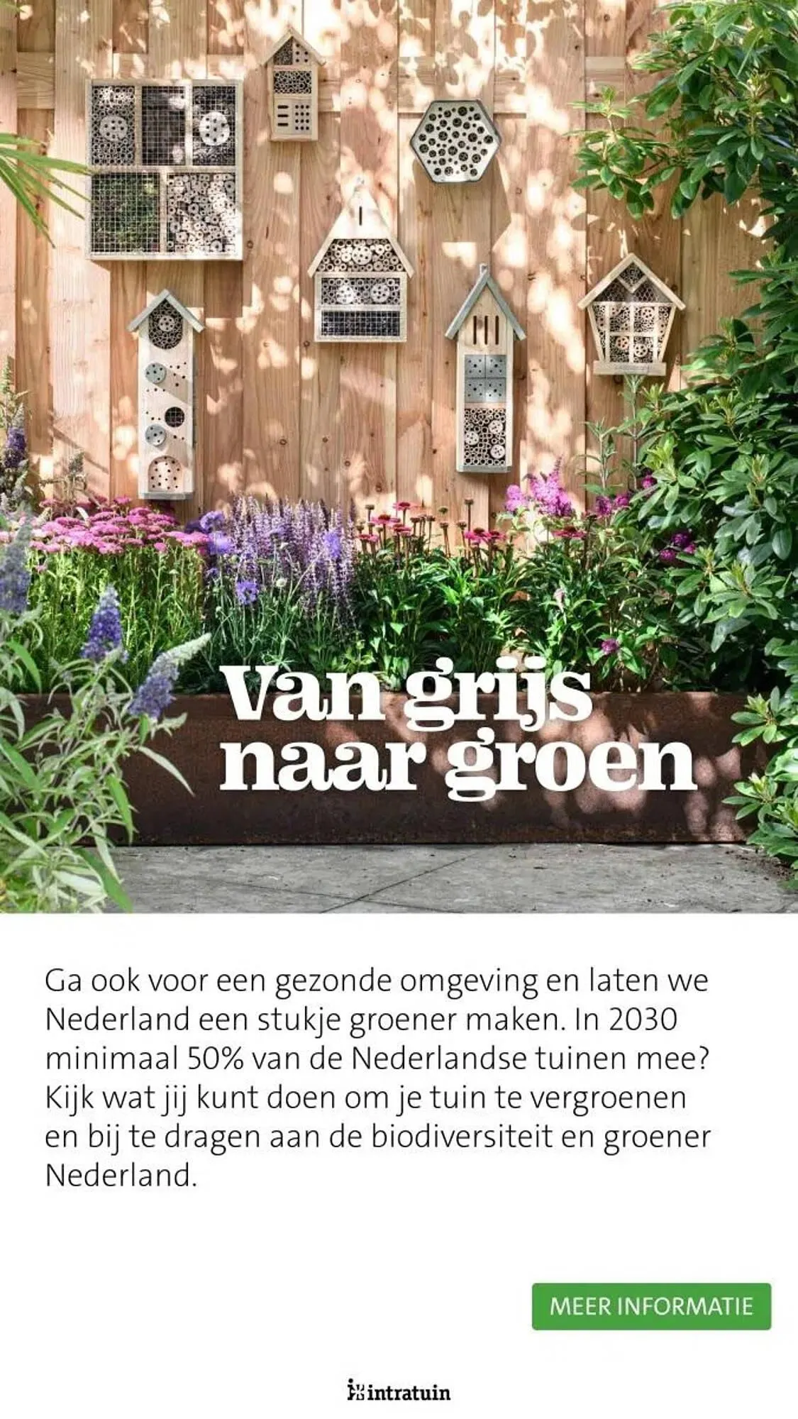 Intratuin folder van 31 maart tot 31 augustus 2025 - Folder pagina 25