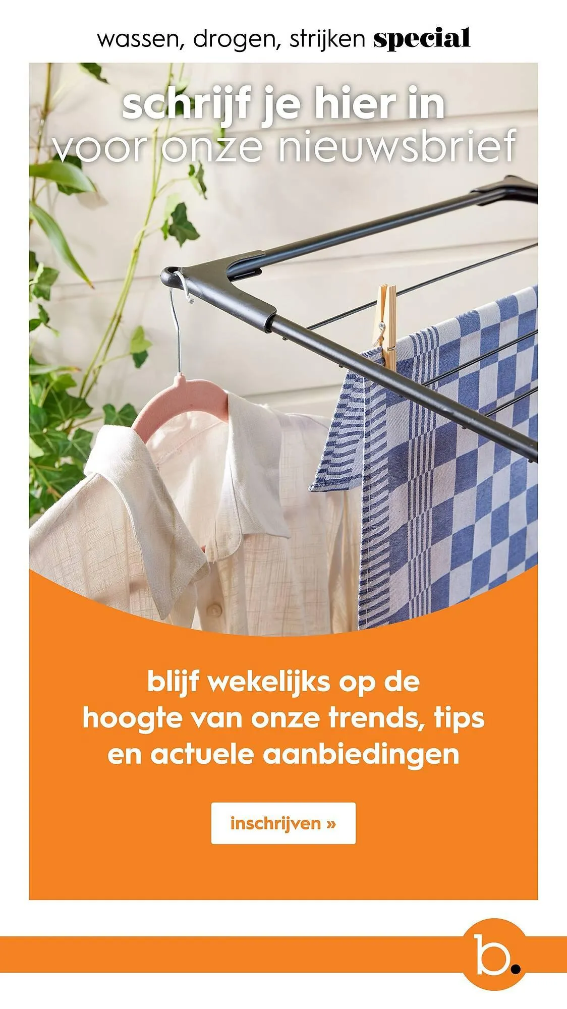 Blokker folder van 10 oktober tot 31 december 2024 - Folder pagina 19