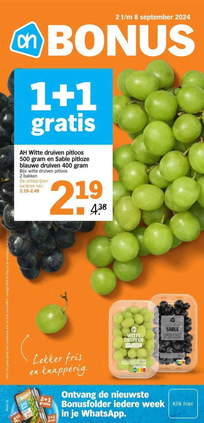 Albert Heijn folder van 31 augustus tot 14 september 2024 - Folder pagina 1