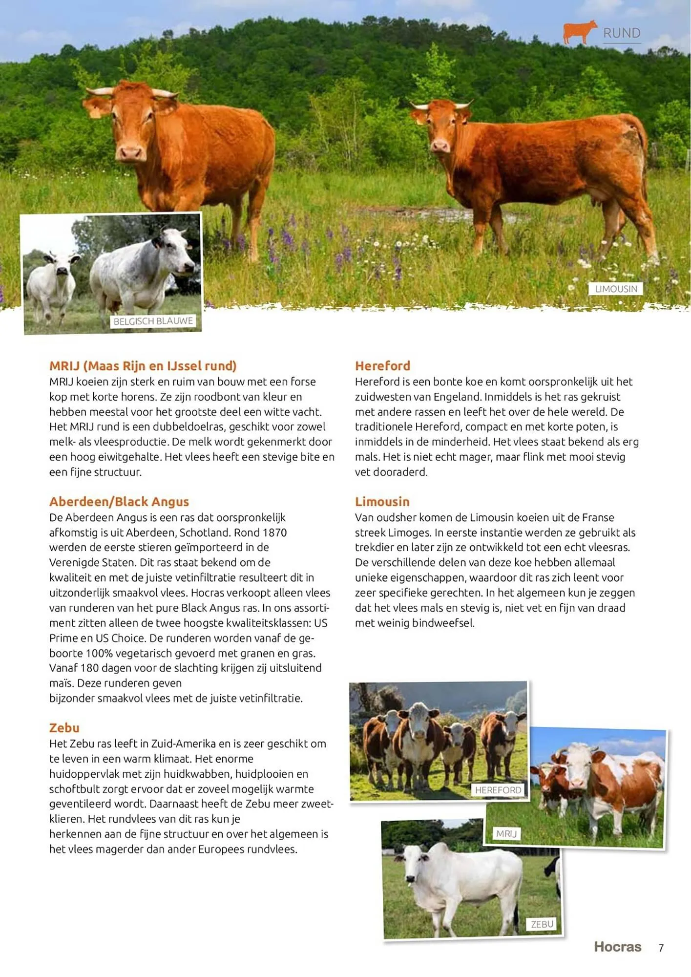 Hocras Vlees folder van 15 februari tot 31 december 2023 - Folder pagina 7