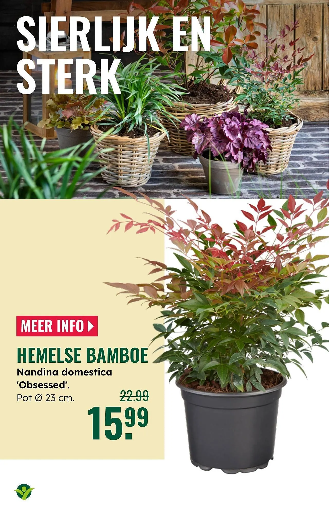 GroenRijk folder van 1 oktober tot 7 oktober 2025 - Folder pagina 15