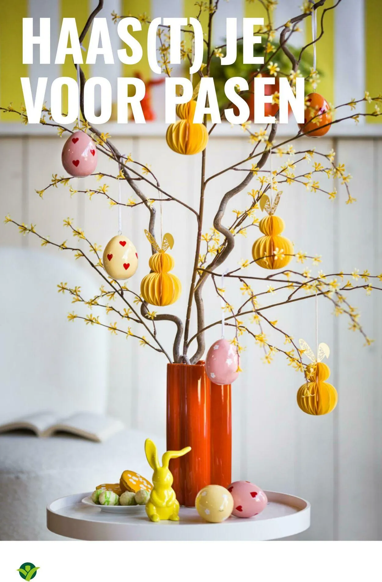 GroenRijk Actuele folder van 8 juli tot 22 juli 2025 - Folder pagina 12