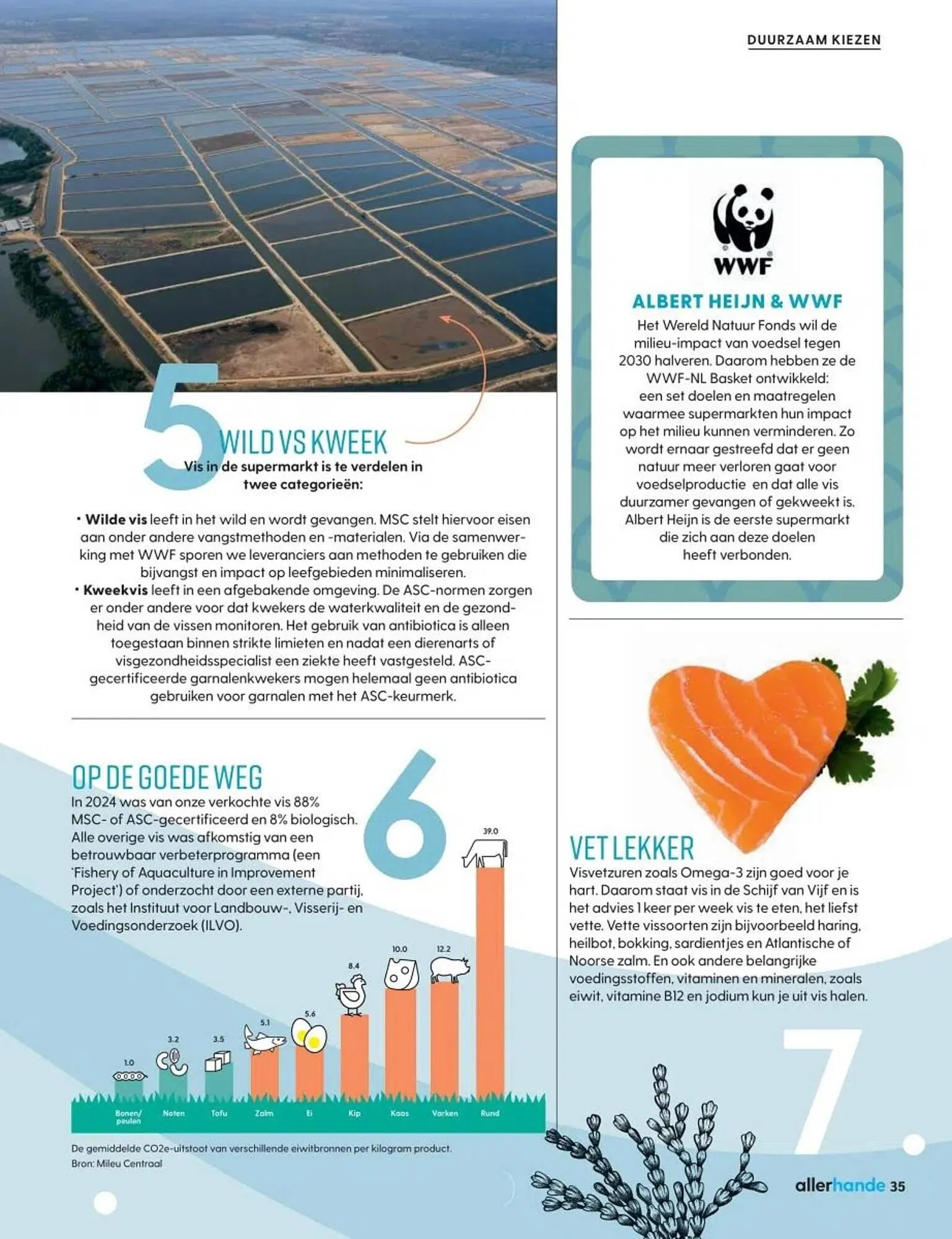 Albert Heijn folder van 19 mei tot 16 juni 2025 - Folder pagina 35