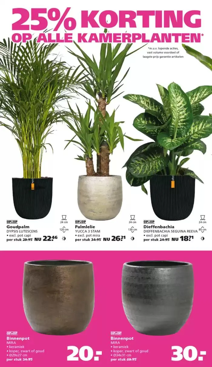 Ranzijn folder van 29 december tot 12 januari 2025 - Folder pagina 2