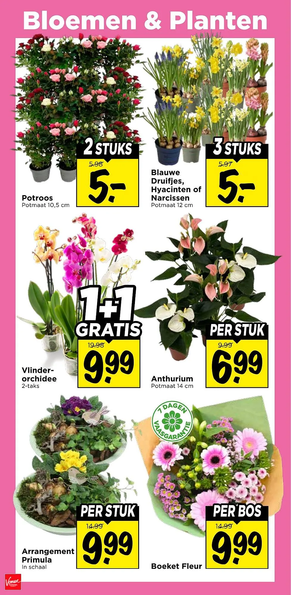 Vomar Voordeelmarkt folder van 18 januari tot 24 januari 2026 - Folder pagina 28