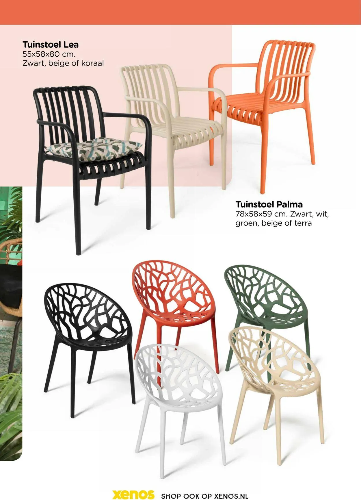 Xenos van 3 maart tot 3 mei 2025 - Folder pagina 5