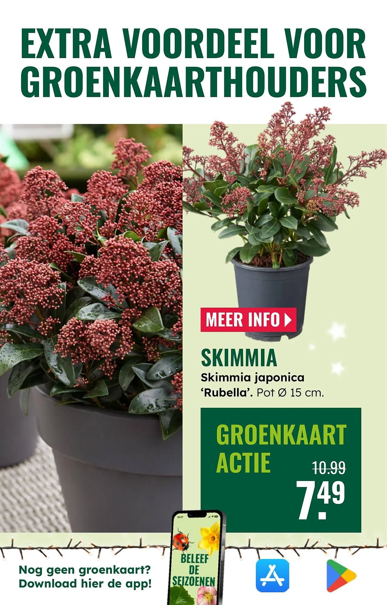 GroenRijk folder van 3 december tot 9 december 2025 - Folder pagina 26