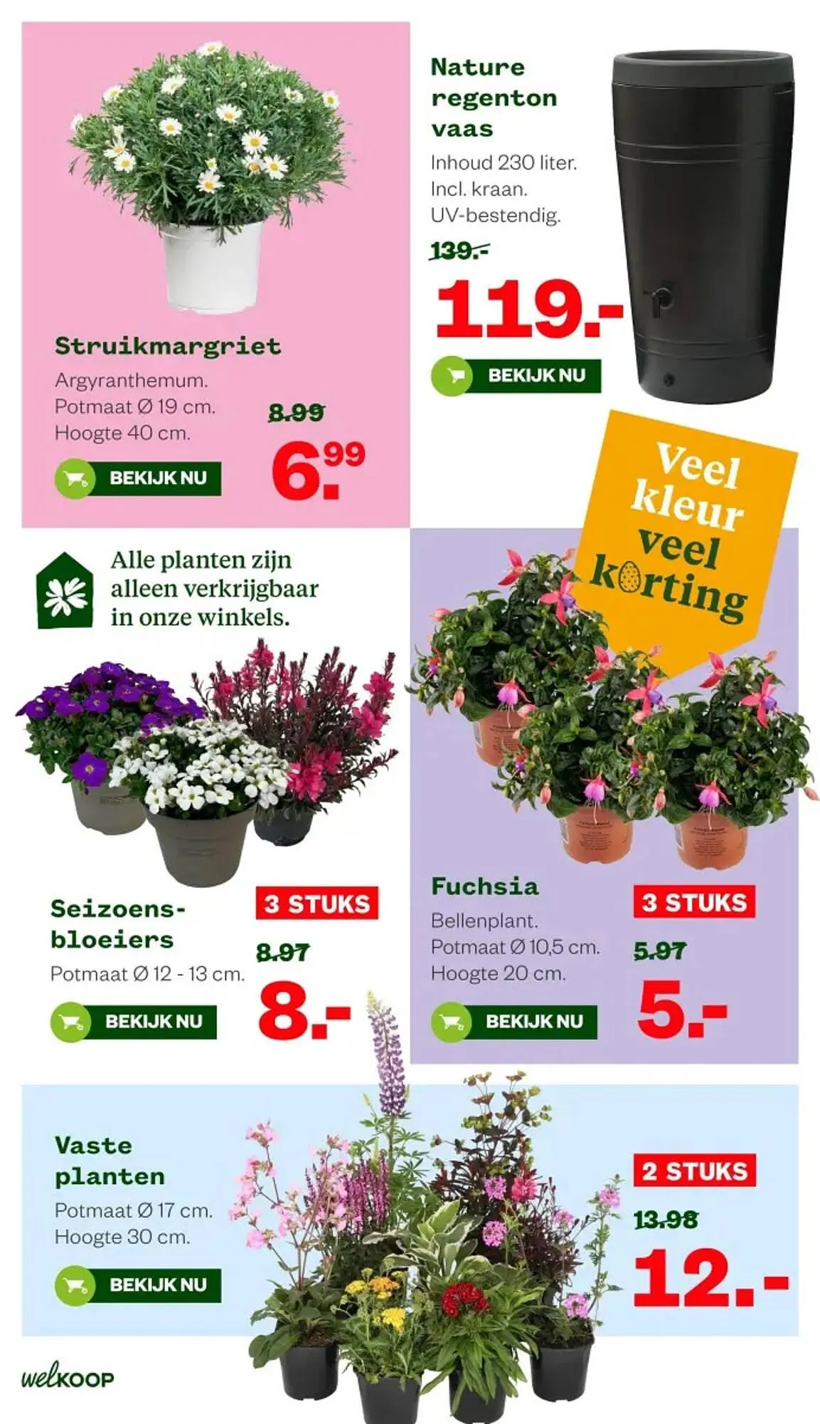 Welkoop folder van 30 maart tot 5 april 2026 - Folder pagina 4