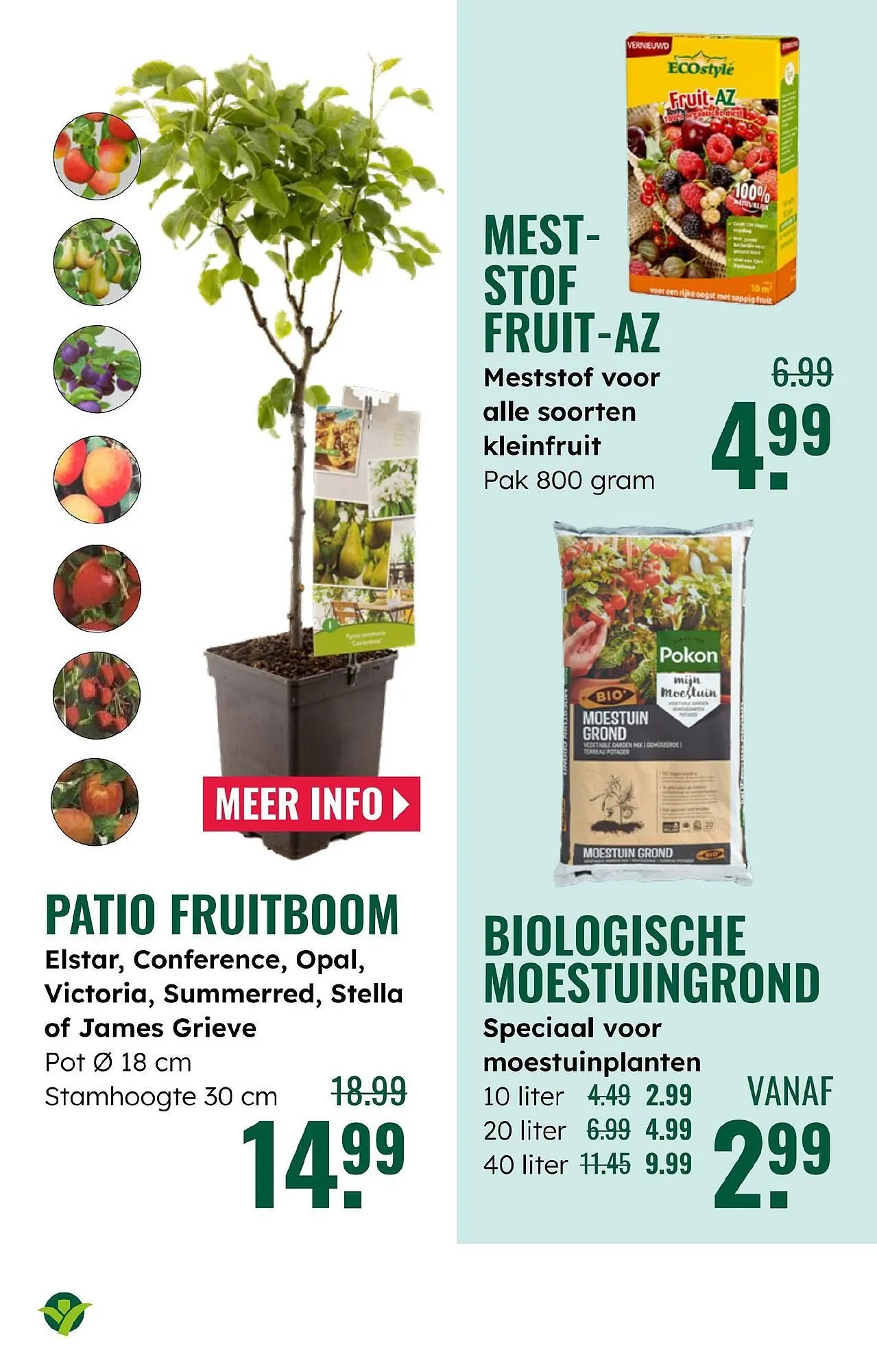 GroenRijk folder van 28 mei tot 3 juni 2025 - Folder pagina 16