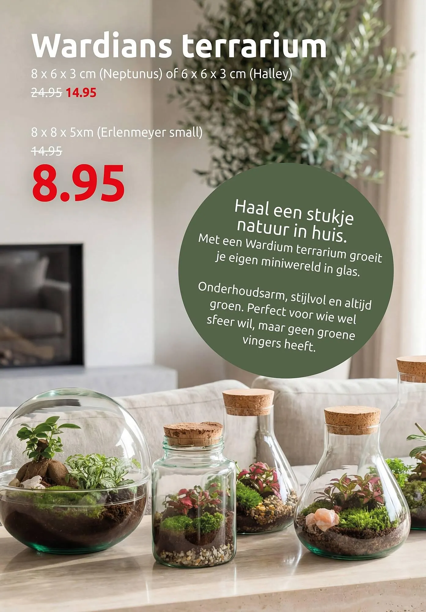 Deka Tuin folder van 16 februari tot 1 maart 2026 - Folder pagina 2