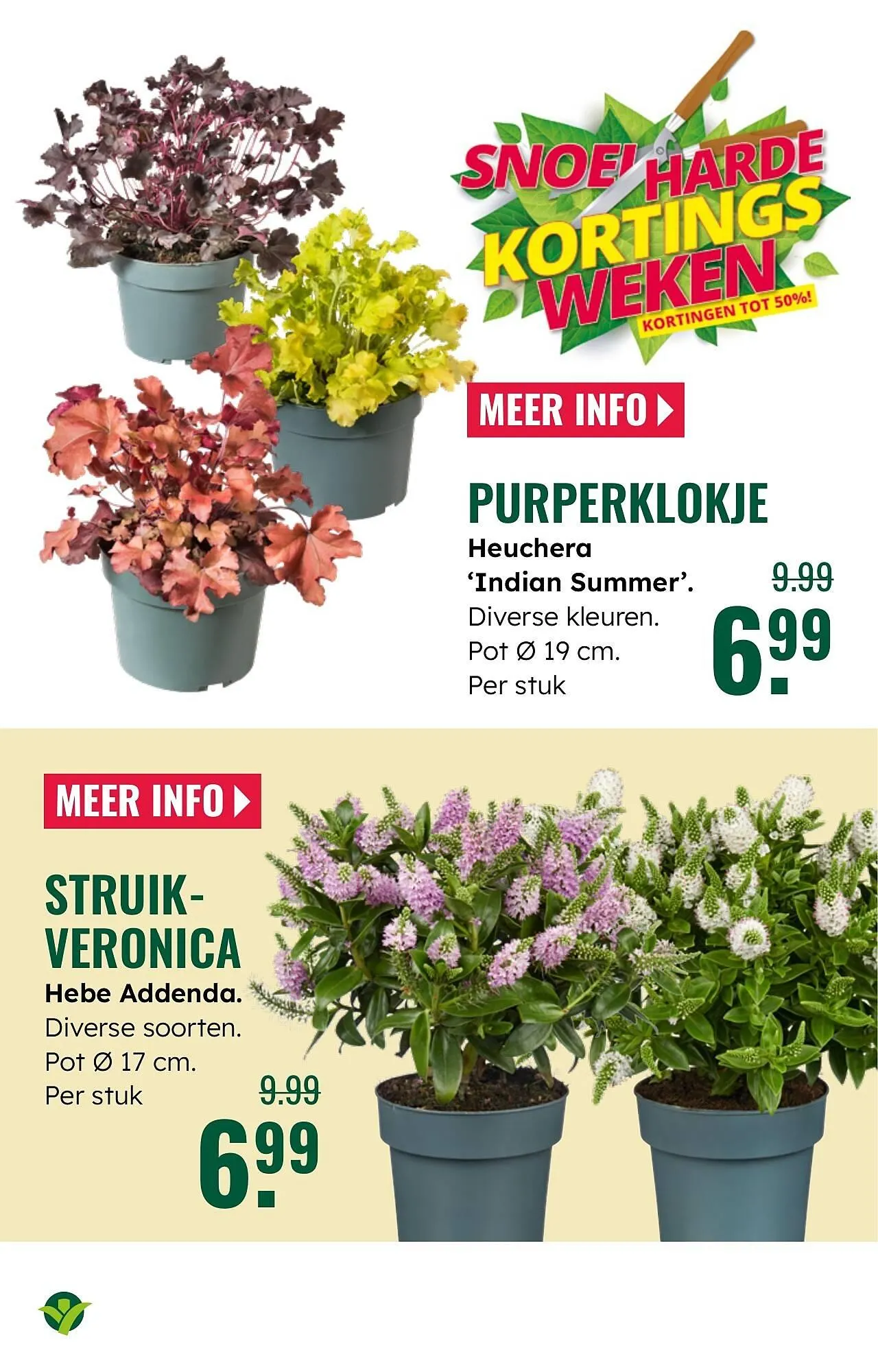 GroenRijk folder van 30 juli tot 12 augustus 2025 - Folder pagina 7