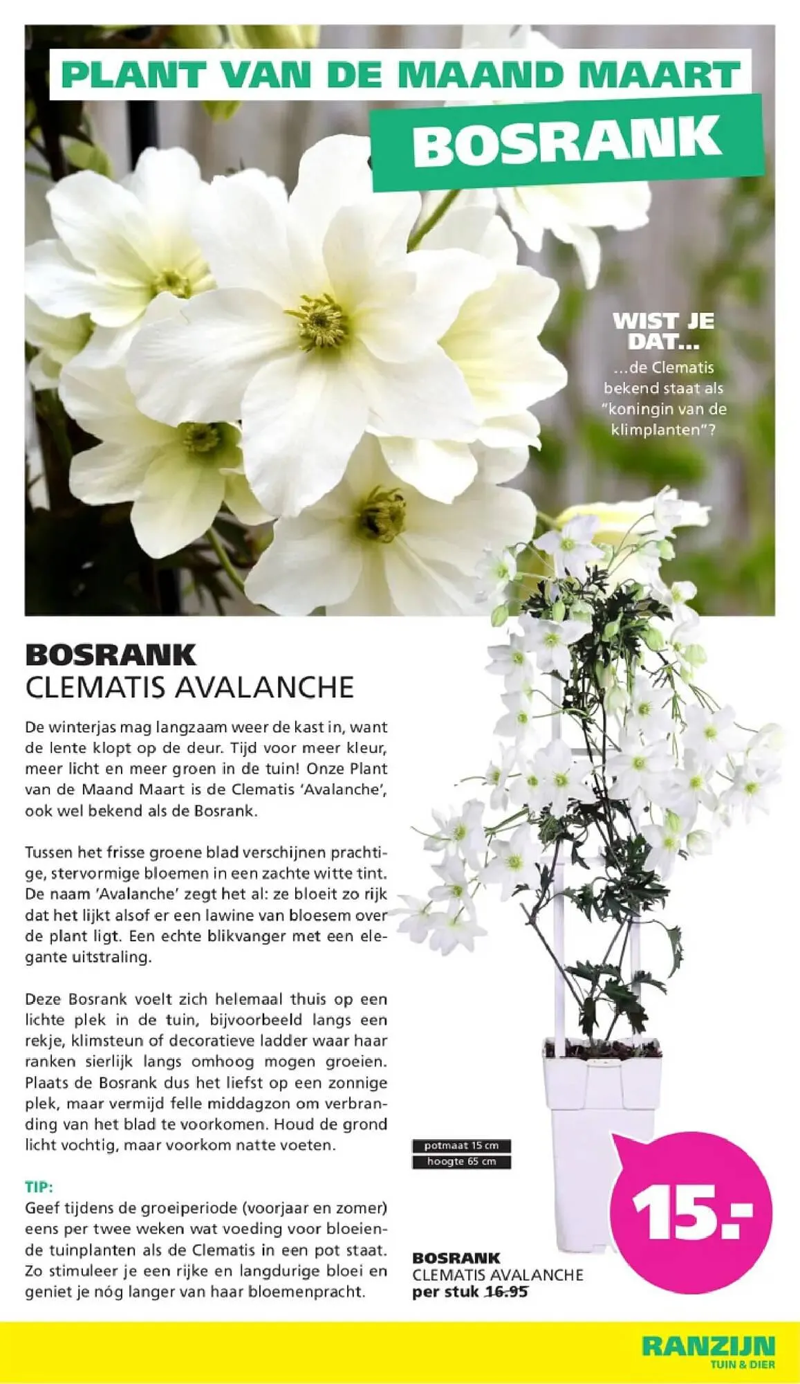 Ranzijn folder van 22 maart tot 28 maart 2026 - Folder pagina 3