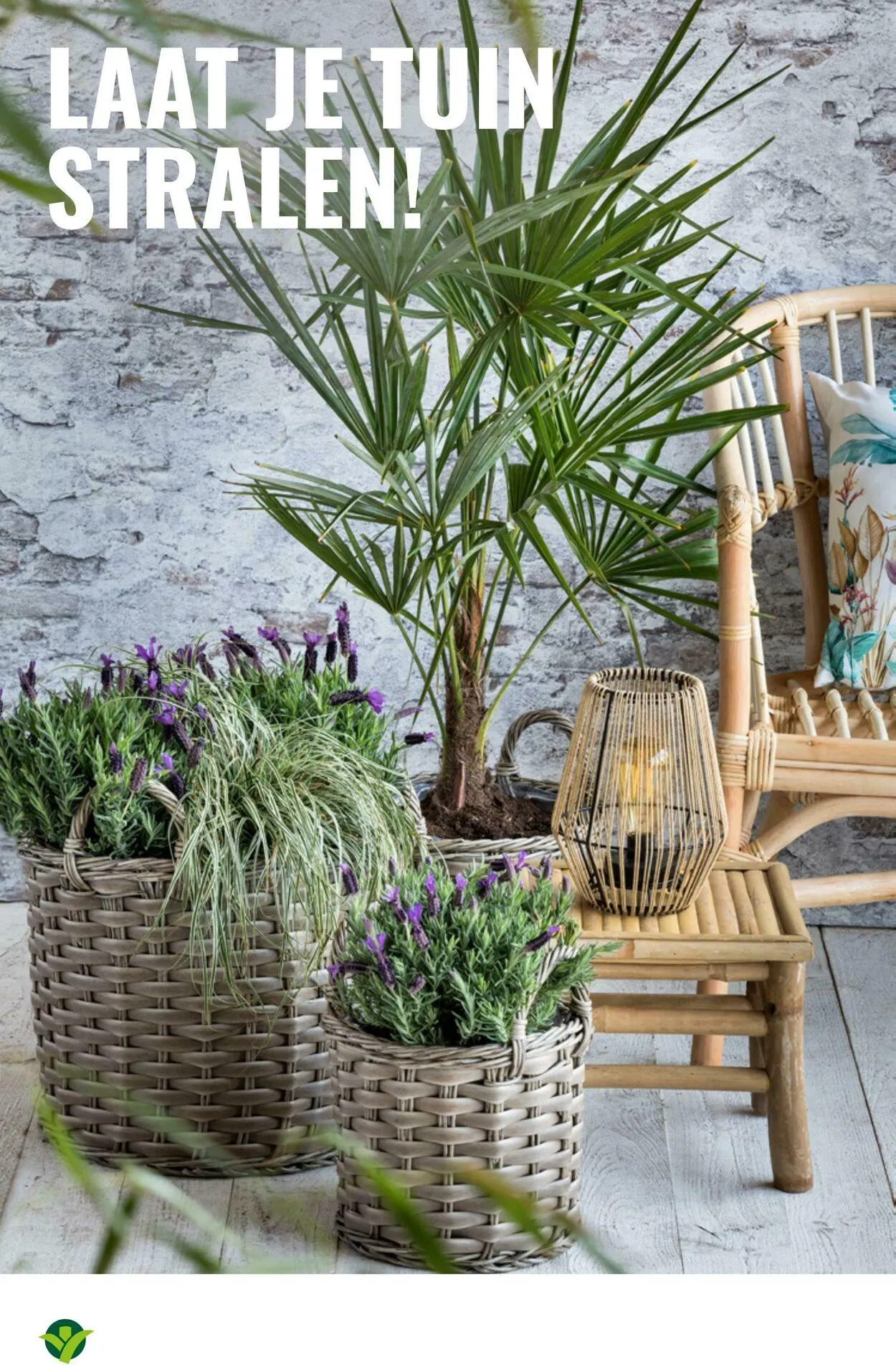 GroenRijk Actuele folder van 2 september tot 16 september 2025 - Folder pagina 4