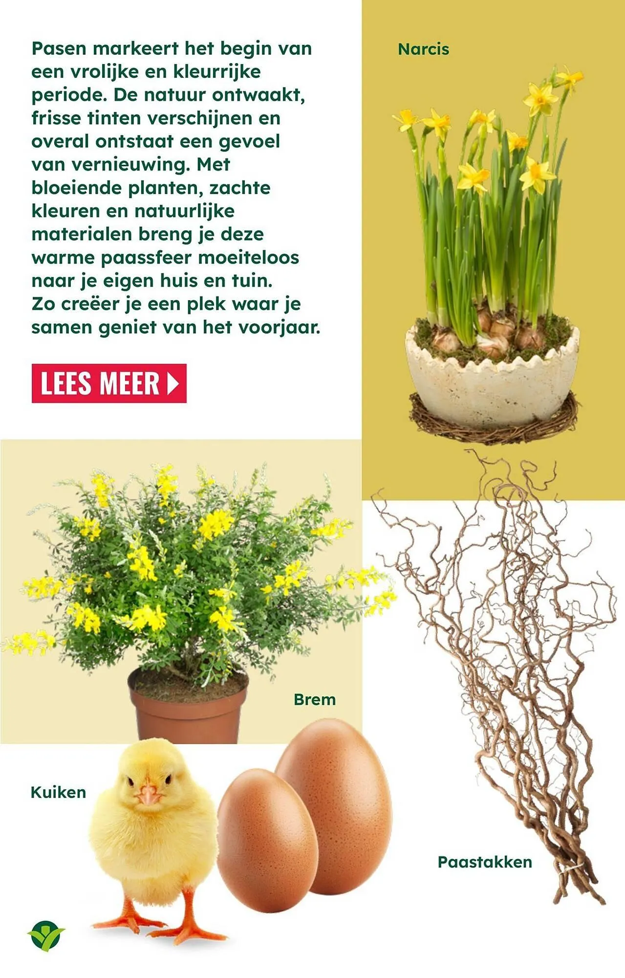 GroenRijk folder van 18 maart tot 1 april 2026 - Folder pagina 7