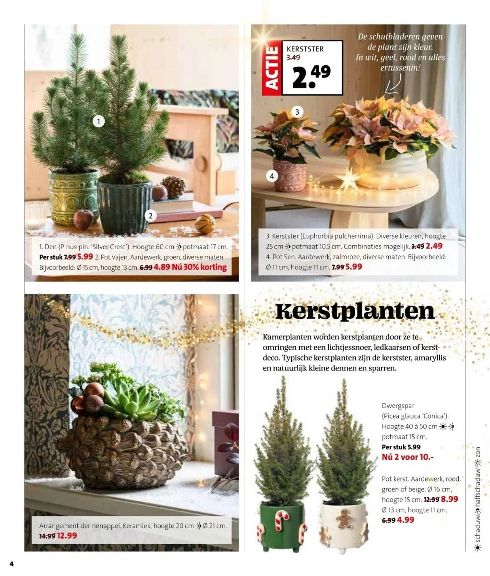 Intratuin folder van 17 november tot 23 november 2025 - Folder pagina 4