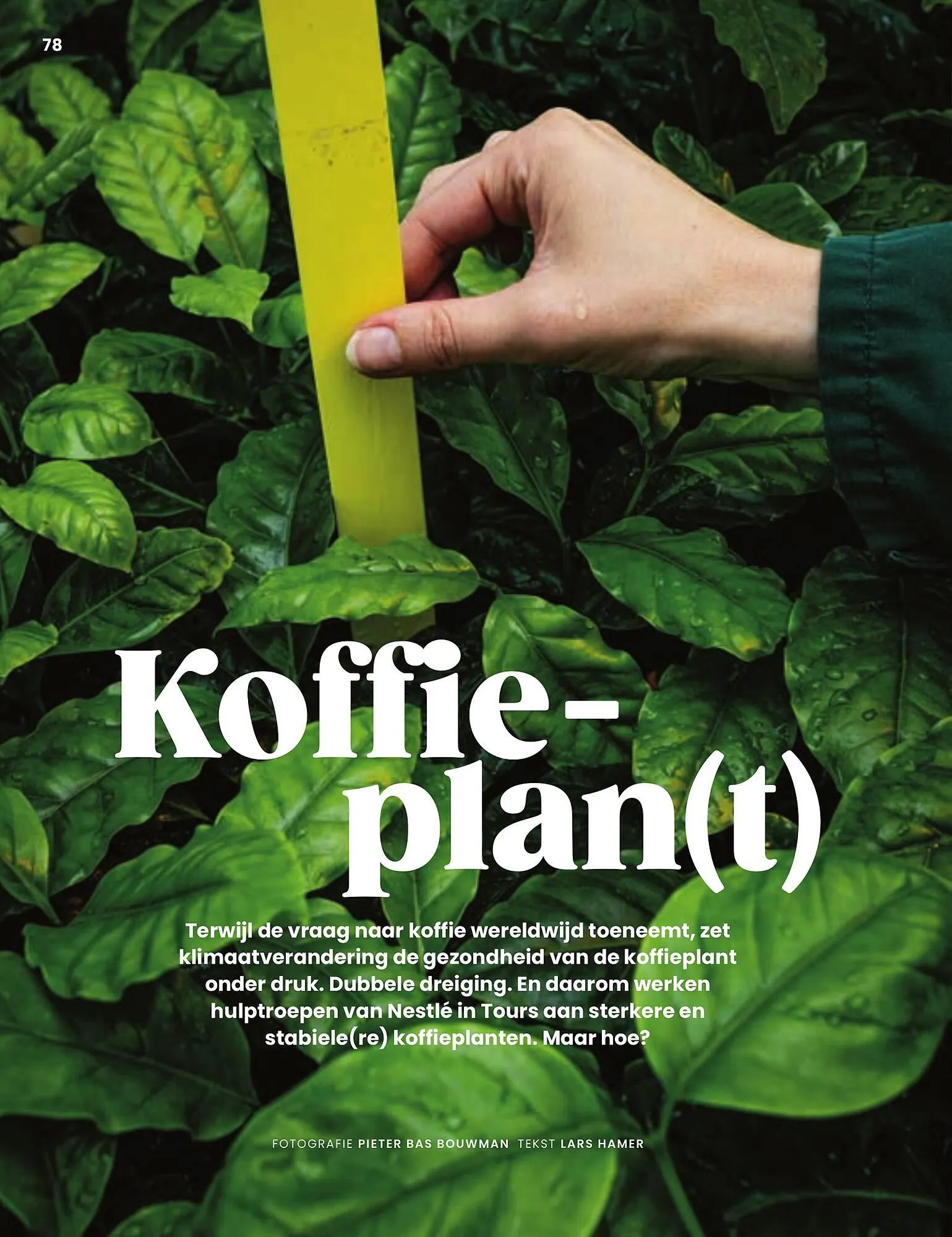 BOON magazine van 1 oktober tot 31 december 2023 - Folder pagina 78