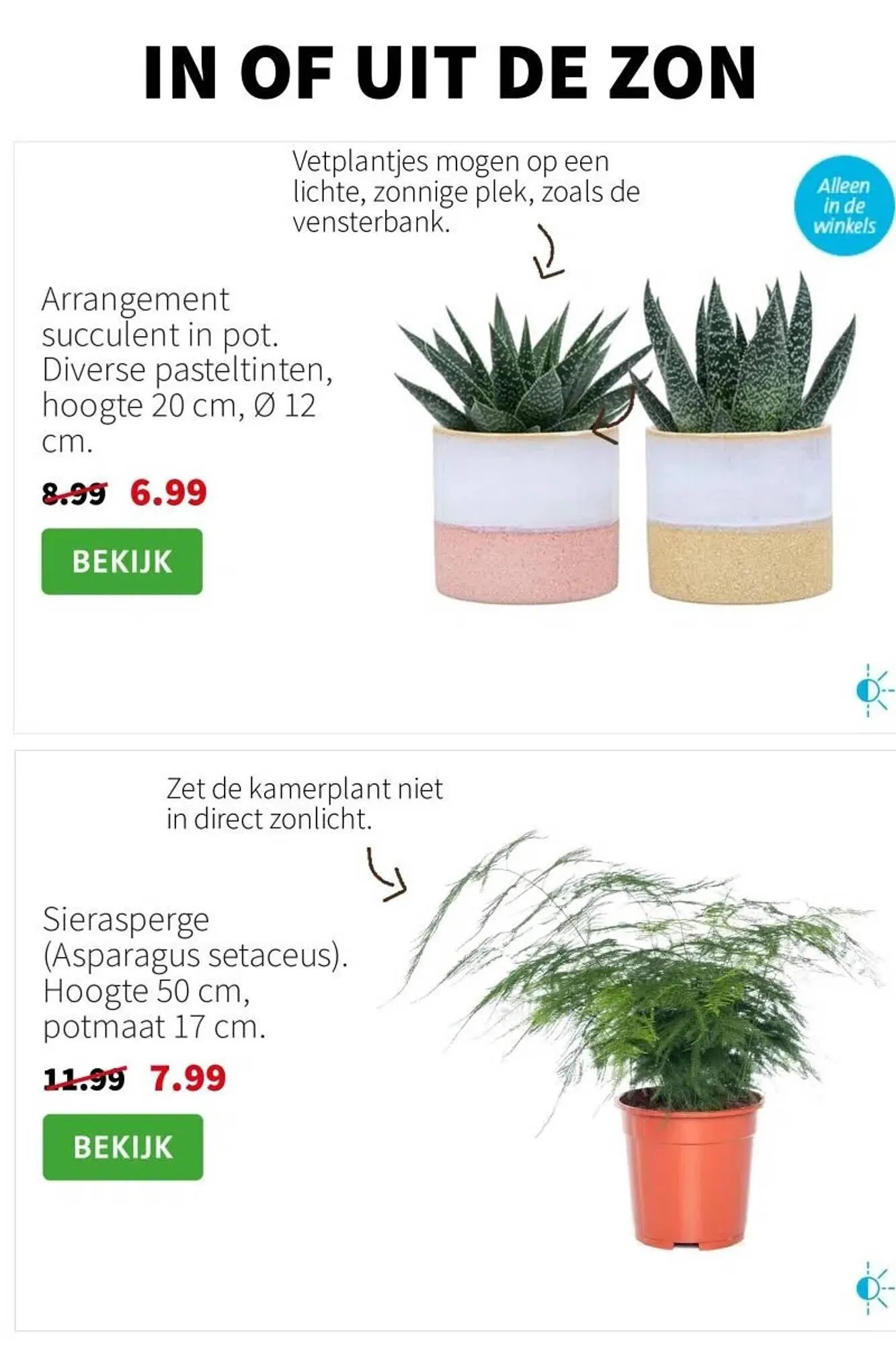 Intratuin folder van 24 maart tot 30 maart 2025 - Folder pagina 8