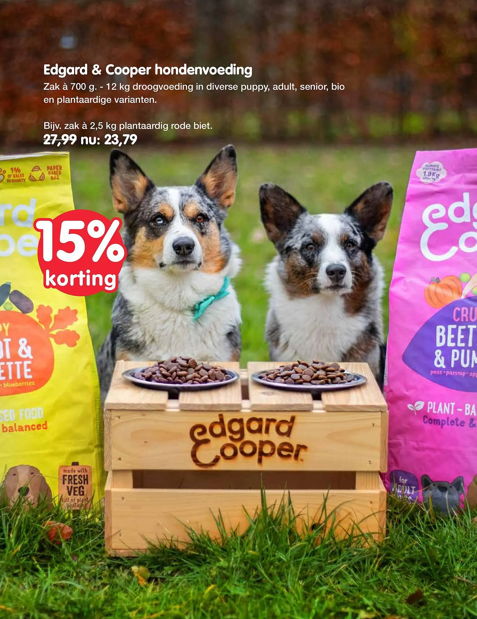 Jumper folder van 20 november tot 3 december 2023 - Folder pagina 15