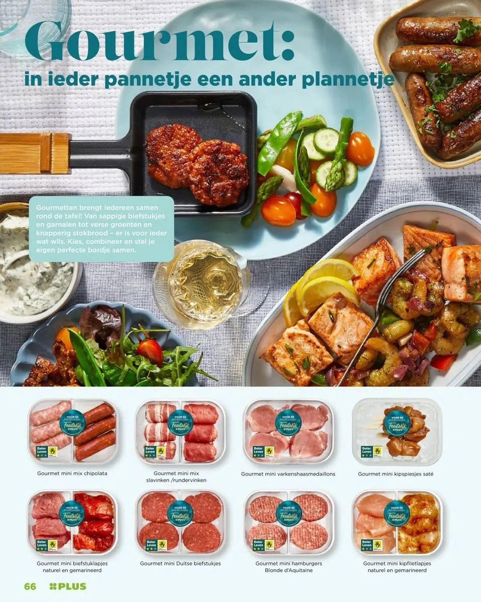 PLUS folder van 31 maart tot 22 april 2025 - Folder pagina 66