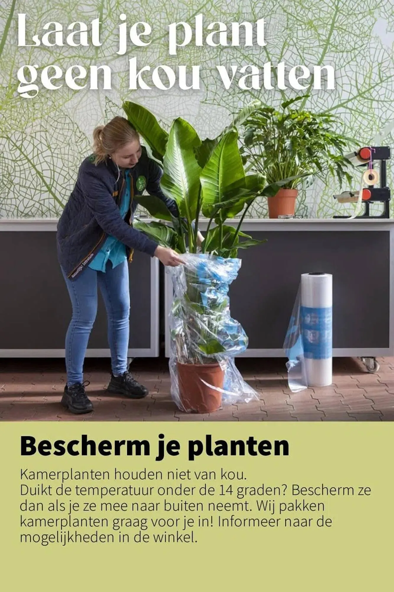 Intratuin folder van 26 januari tot 1 februari 2026 - Folder pagina 7