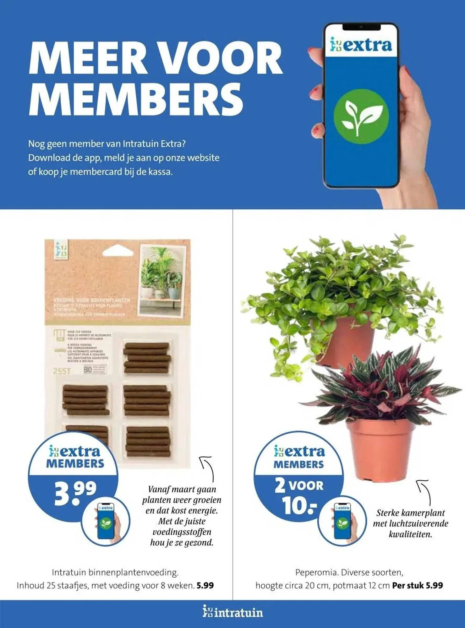 Intratuin folder van 17 februari tot 23 februari 2025 - Folder pagina 17