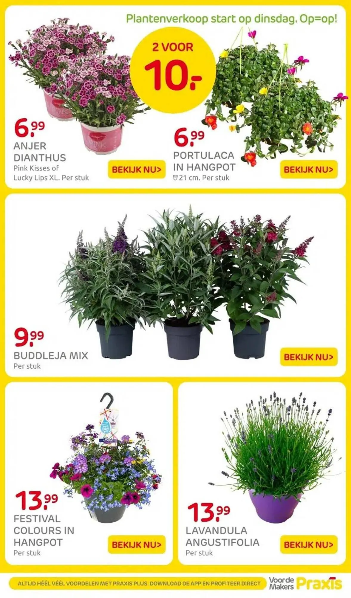 Praxis folder van 27 juni tot 29 juni 2025 - Folder pagina 22