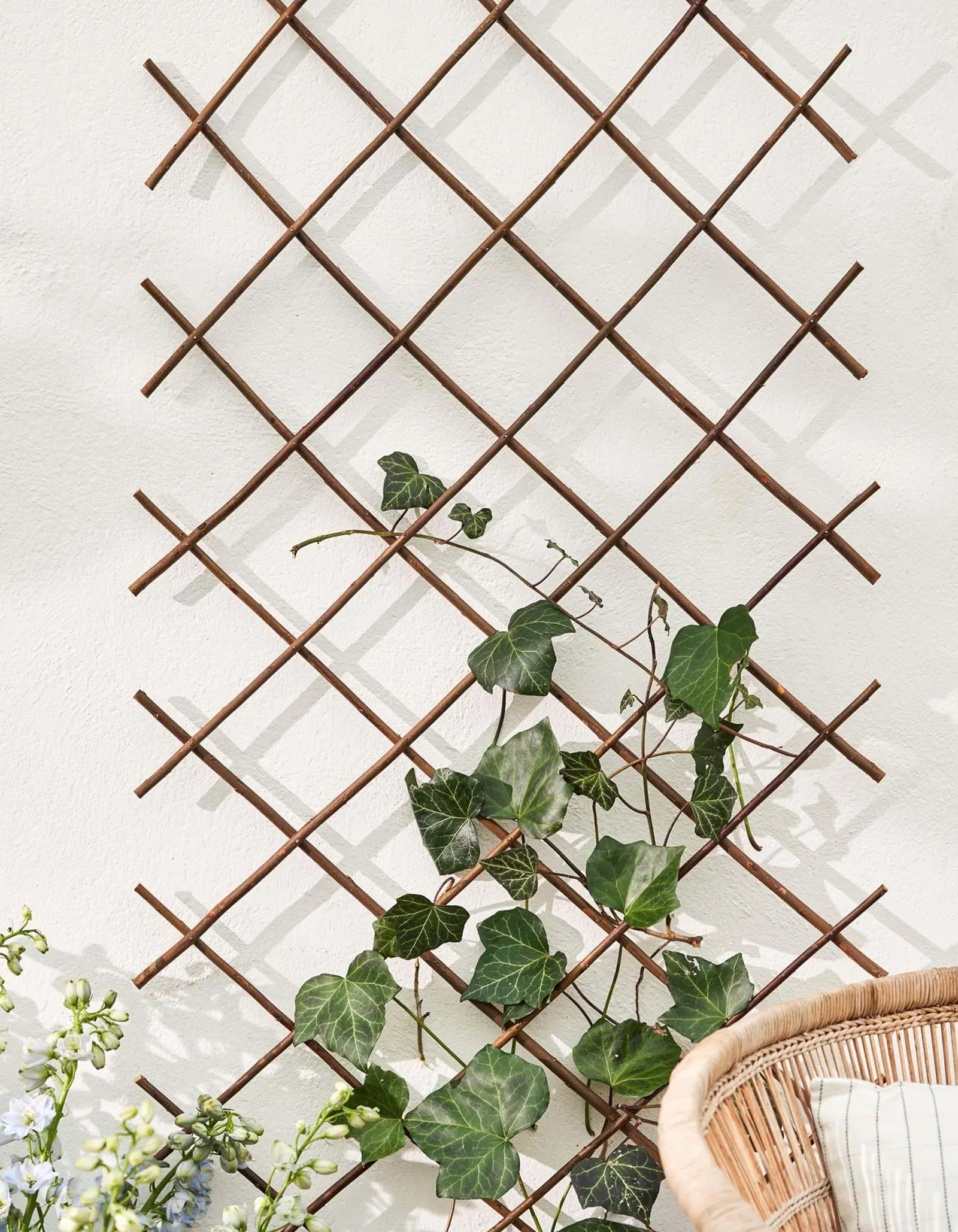 Uitrekbaar wilgenhek