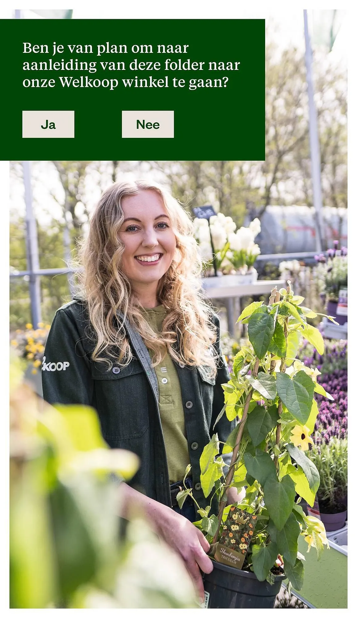 Welkoop folder van 23 juni tot 13 juli 2025 - Folder pagina 29