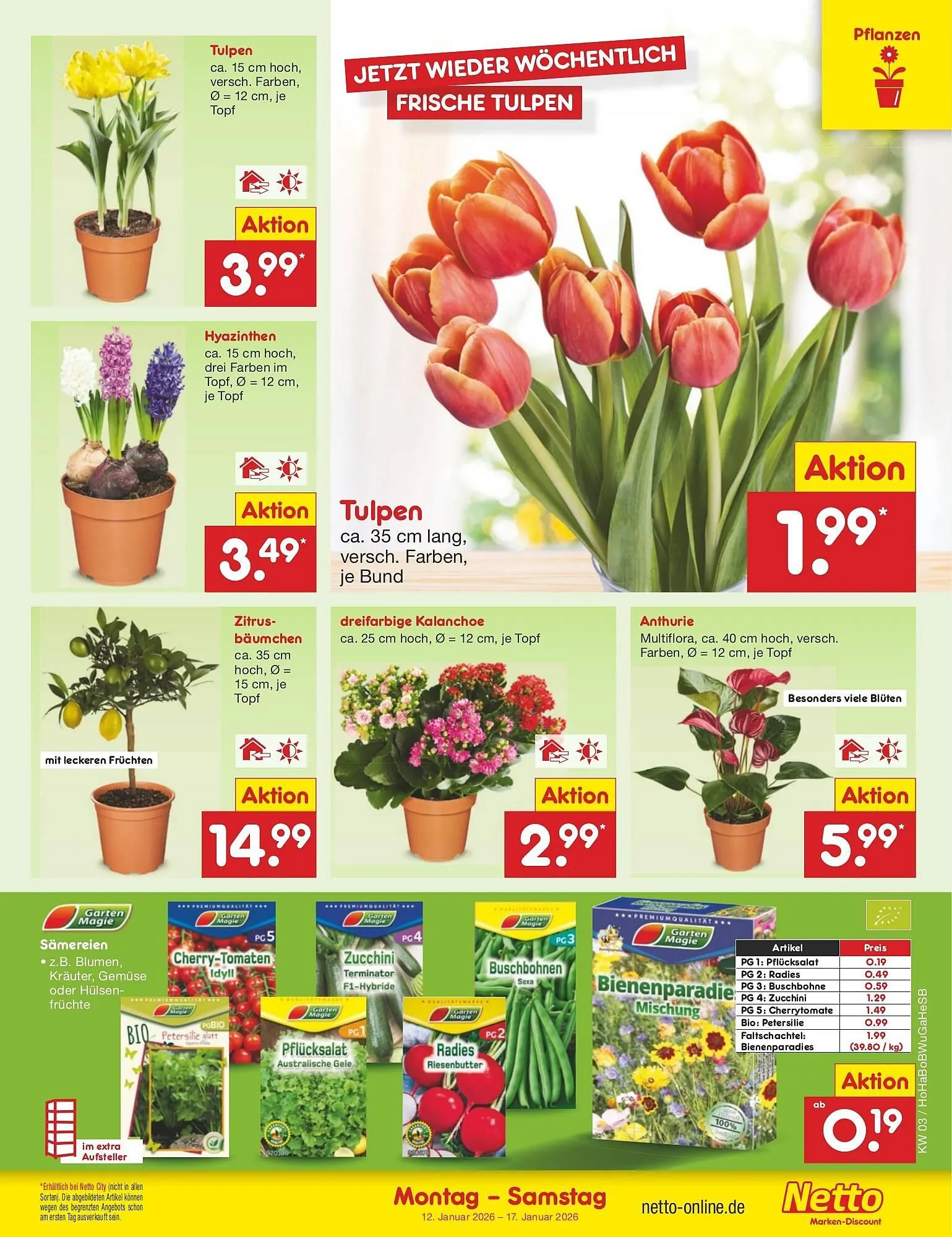 Netto Marken-Discount DE folder van 12 januari tot 17 januari 2026 - Folder pagina 23