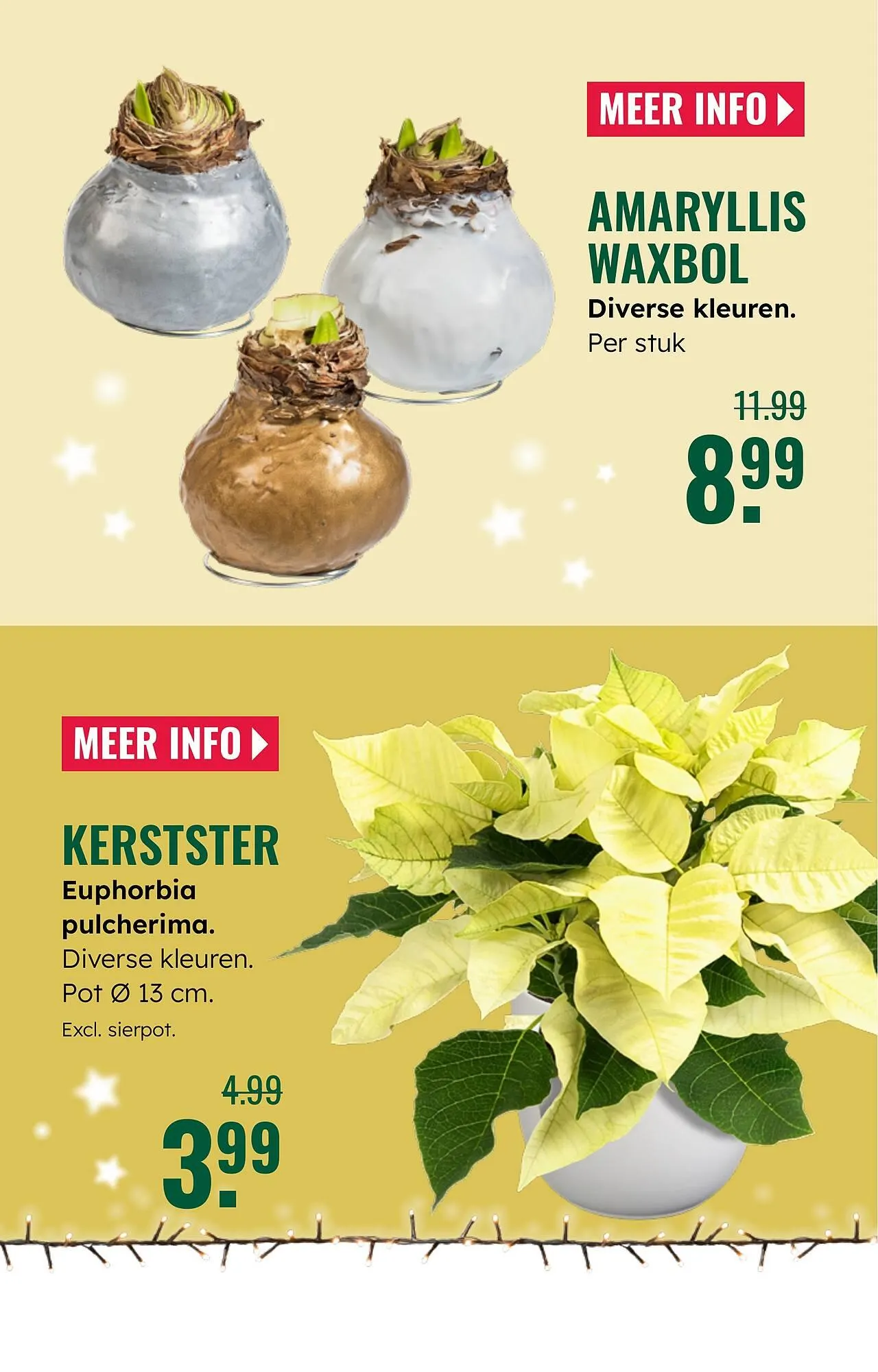 GroenRijk folder van 3 december tot 9 december 2025 - Folder pagina 4