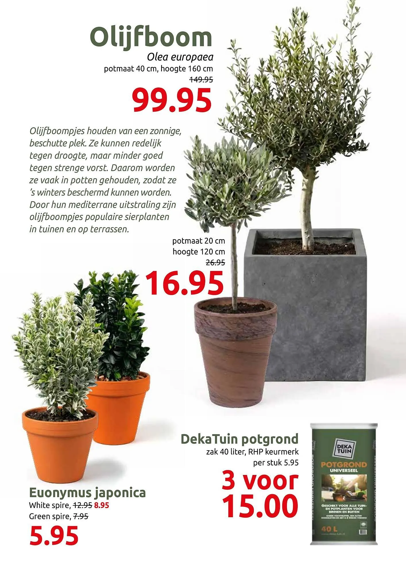 Deka Tuin folder van 2 maart tot 15 maart 2026 - Folder pagina 5