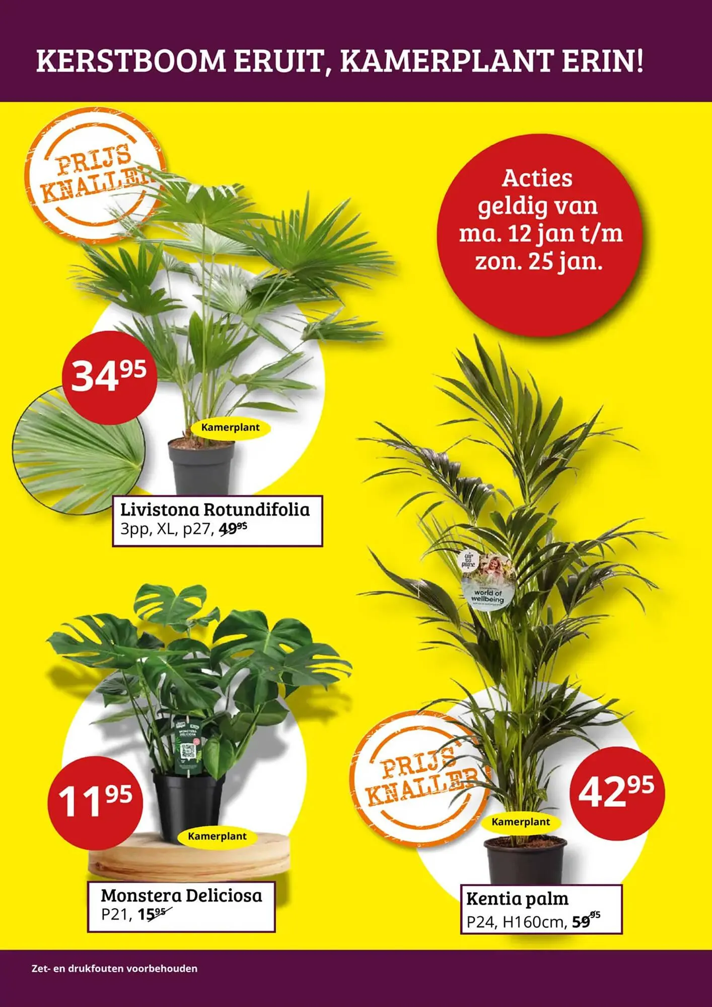 Tuinland folder van 12 januari tot 1 februari 2026 - Folder pagina 2