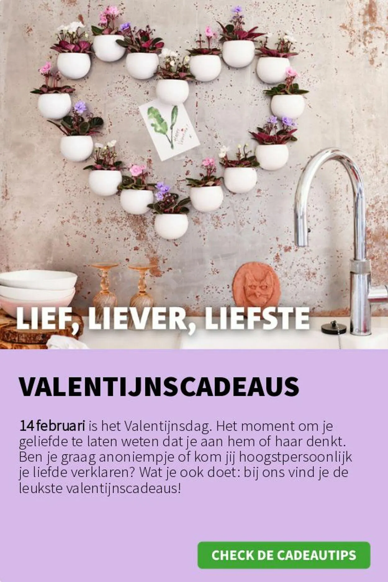 Intratuin Actuele folder van 30 maart tot 13 april 2025 - Folder pagina 6