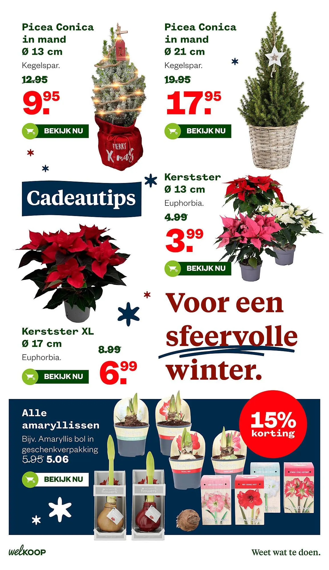 Welkoop folder van 1 december tot 7 december 2025 - Folder pagina 13