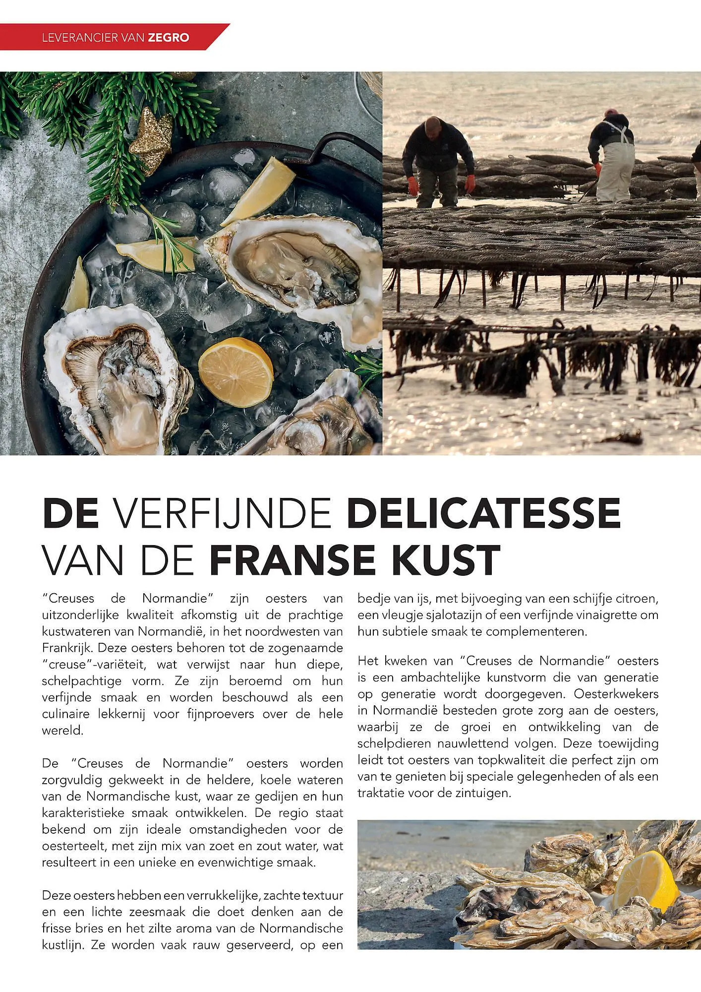 Zegro folder van 1 december tot 30 december 2023 - Folder pagina 32