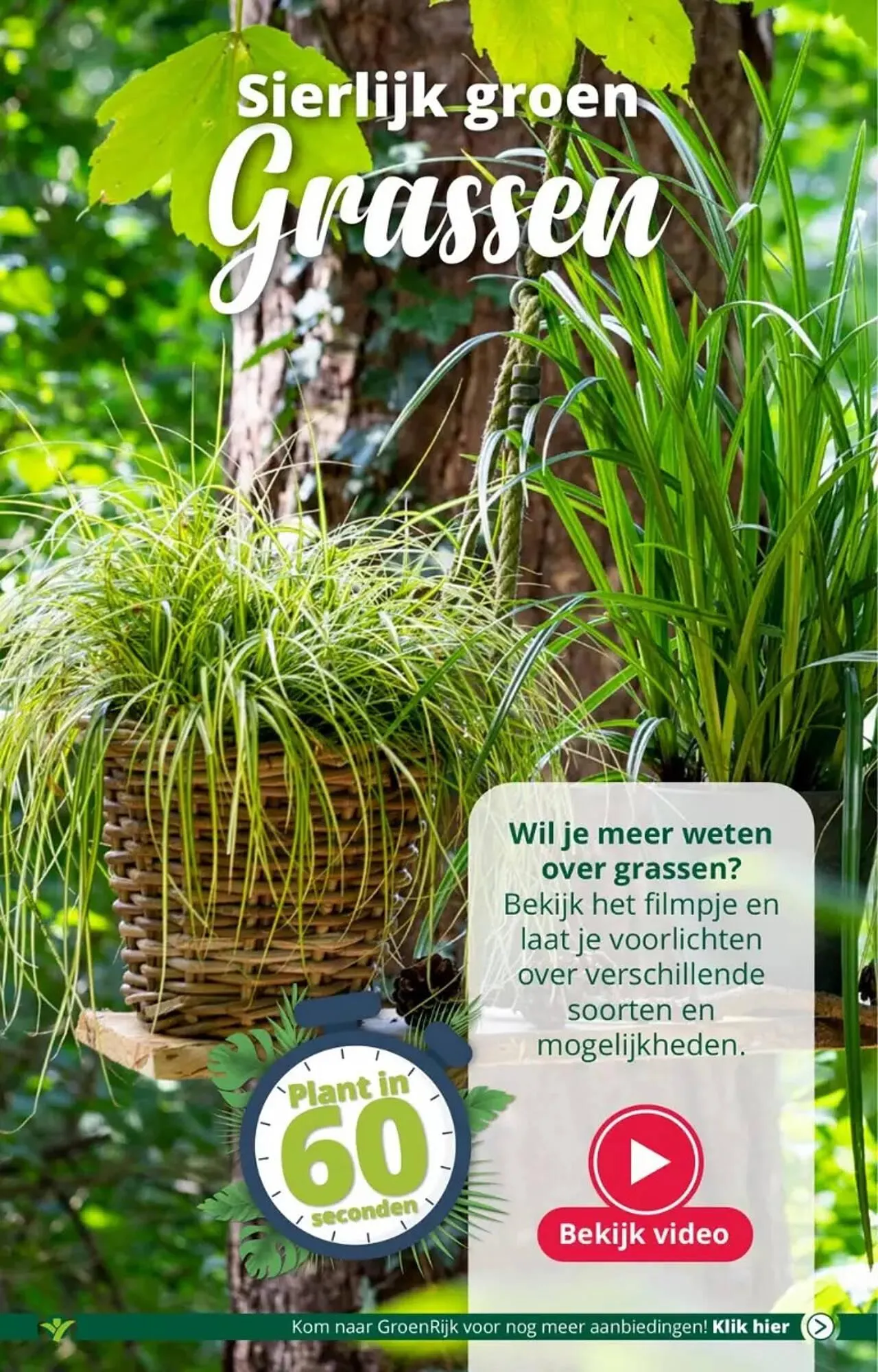 GroenRijk folder van 30 augustus tot 5 september 2023 - Folder pagina 3