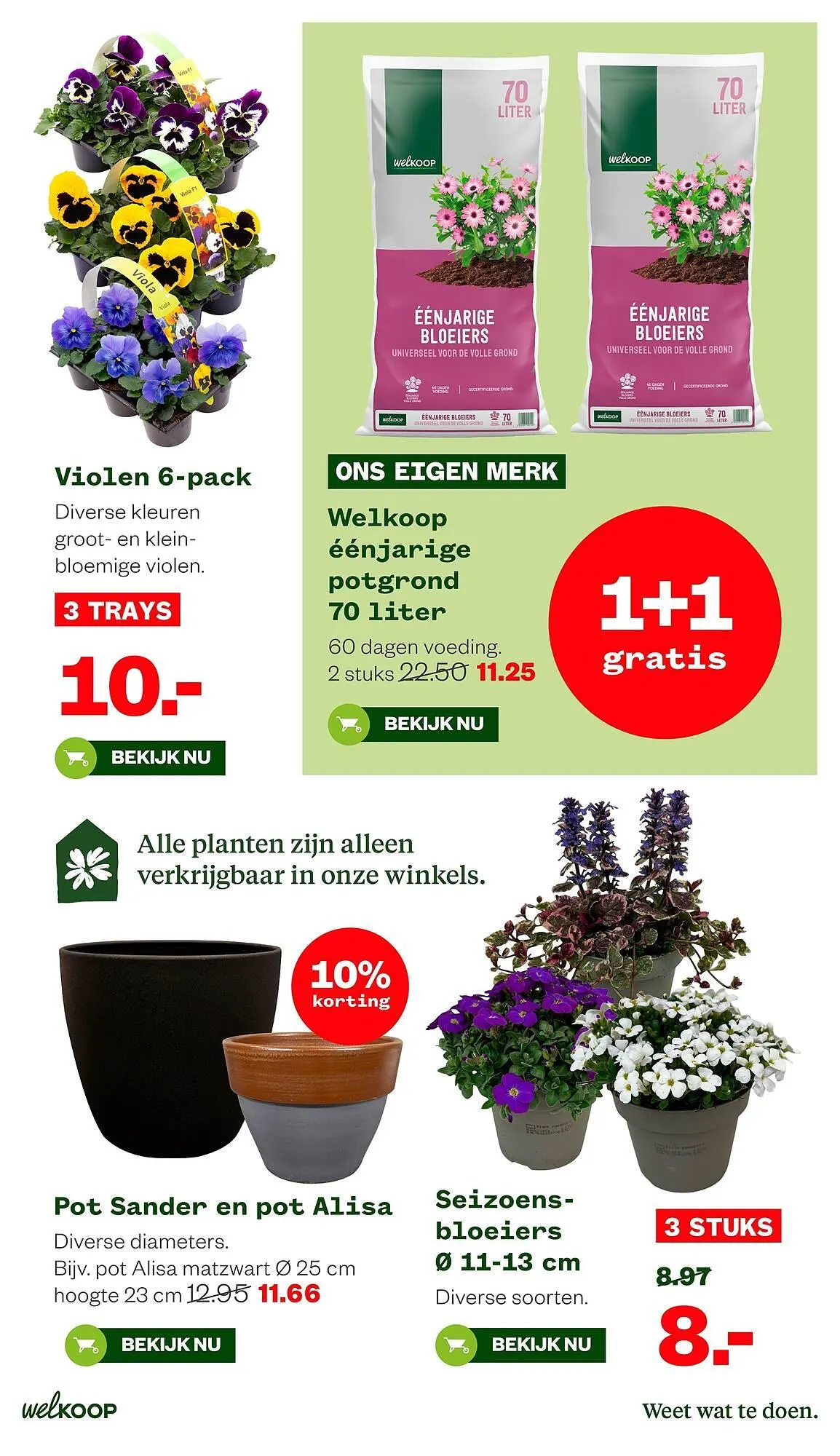 Welkoop folder van 16 maart tot 29 maart 2026 - Folder pagina 11