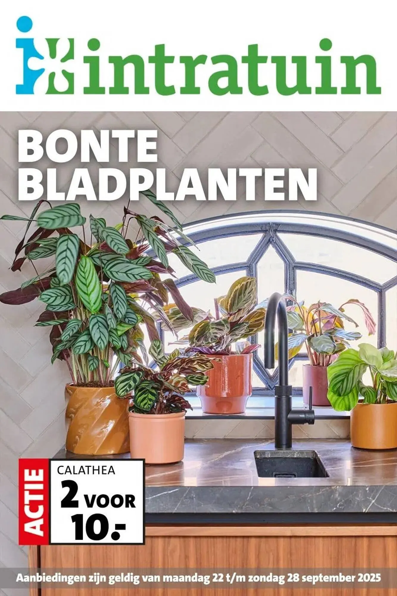 Intratuin folder van 22 september tot 28 september 2025 - Folder pagina 1