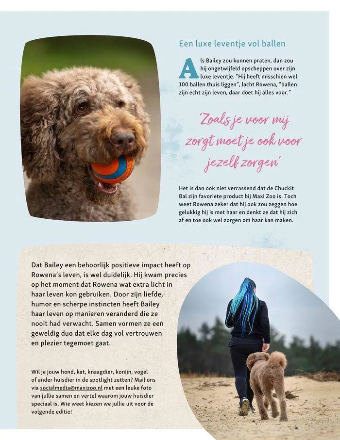 Jumper folder van 21 september tot 5 oktober 2024 - Folder pagina 15