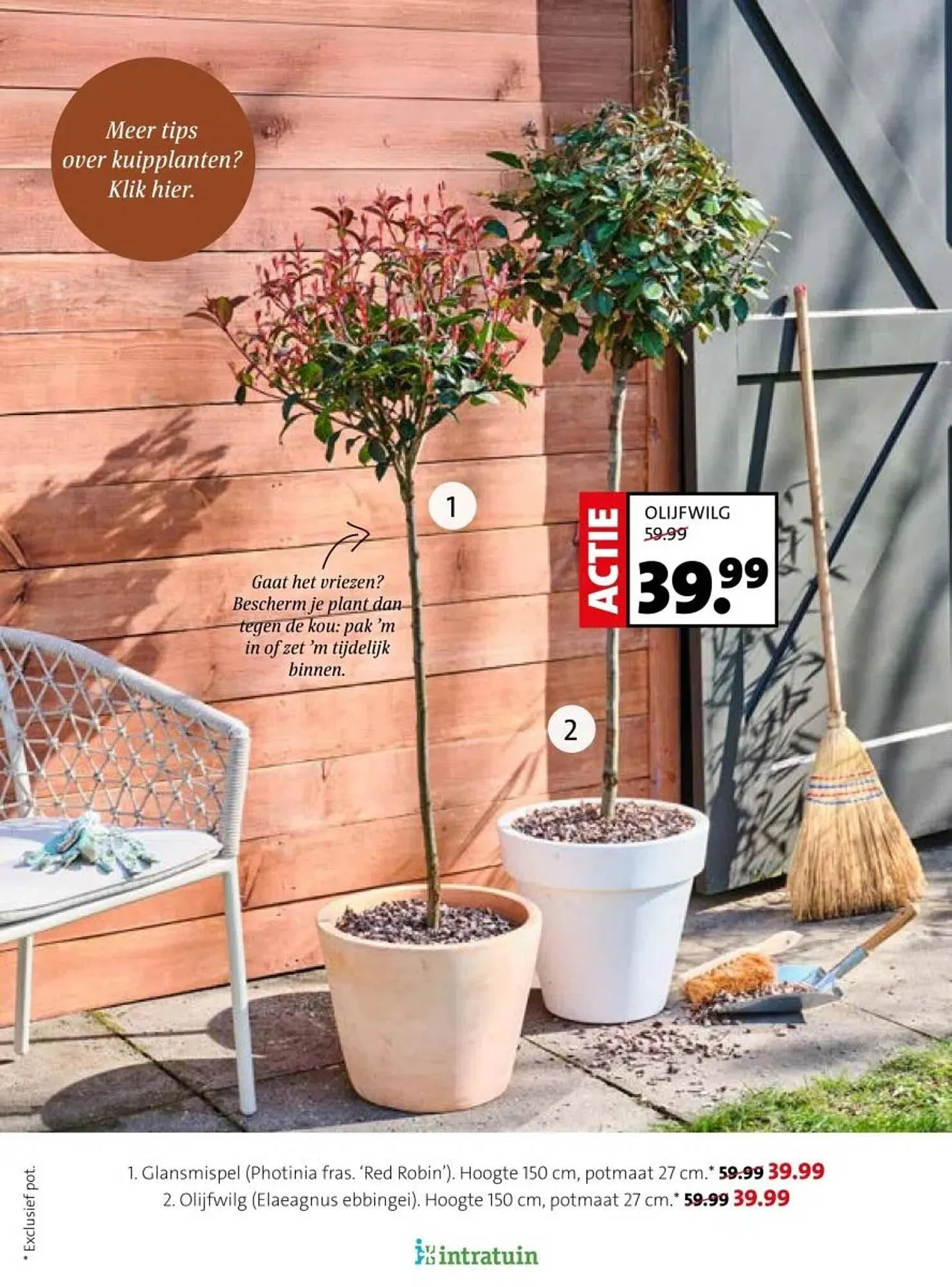Intratuin folder van 16 februari tot 22 februari 2026 - Folder pagina 20