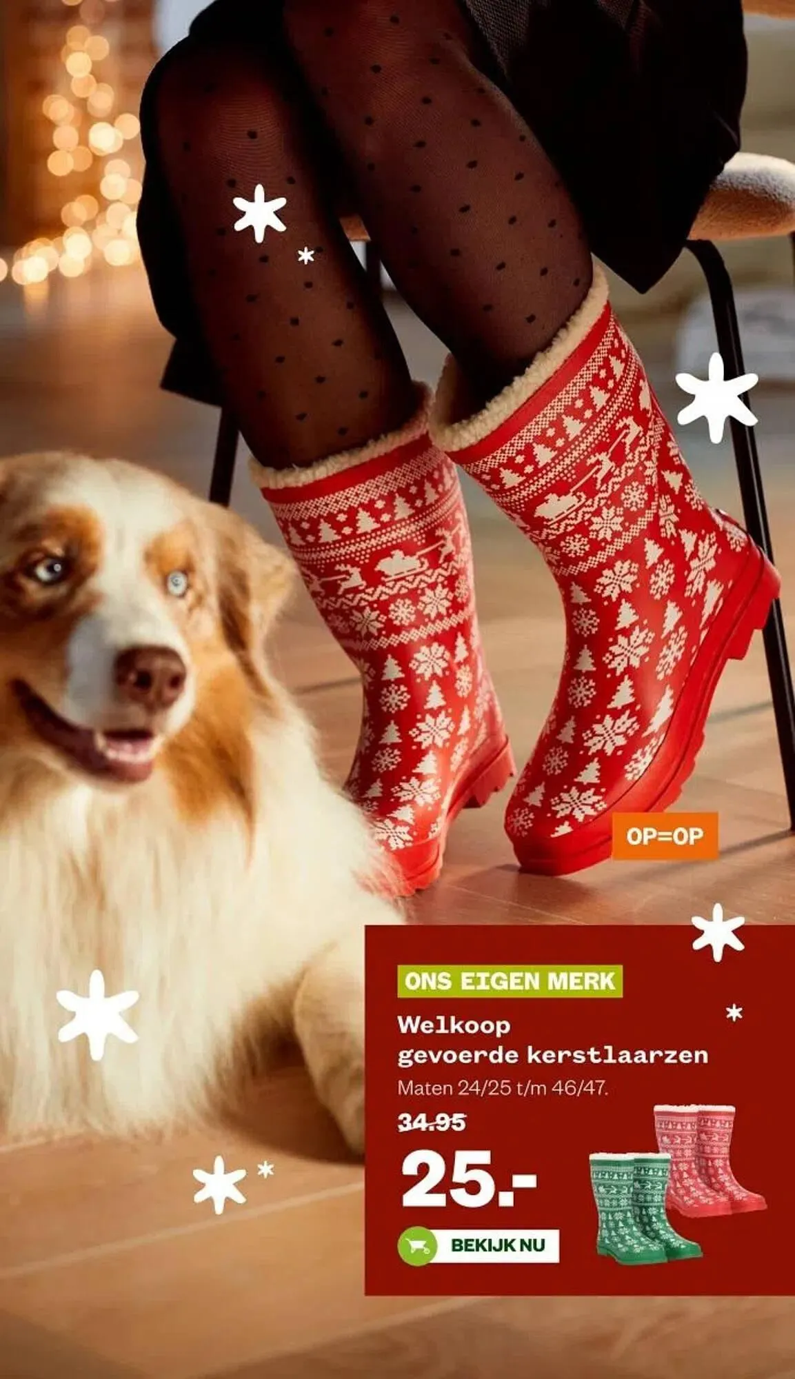 Welkoop folder van 15 december tot 21 december 2025 - Folder pagina 24